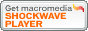 click here to get the Shockwave player